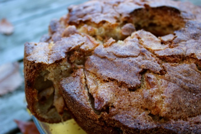 Jodie's Thanksgiving Apple Spice Cake Delectable Destinations Carol Ketelson