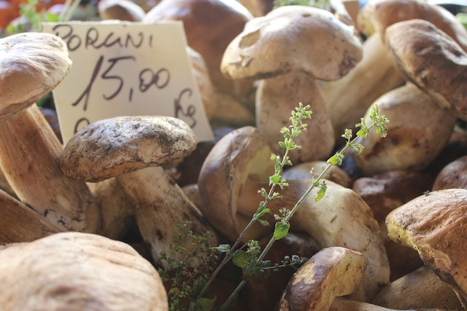 Market Fresh Porcini Mushrooms in Florence, Italy - Touring Tuscany Culinary Tours - Delectable Destinations - Carol Ketelson