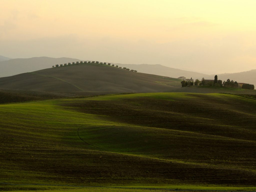 rolling hills of Tuscany Italy Carol Ketelson Delectable Destinations Culinary Tours